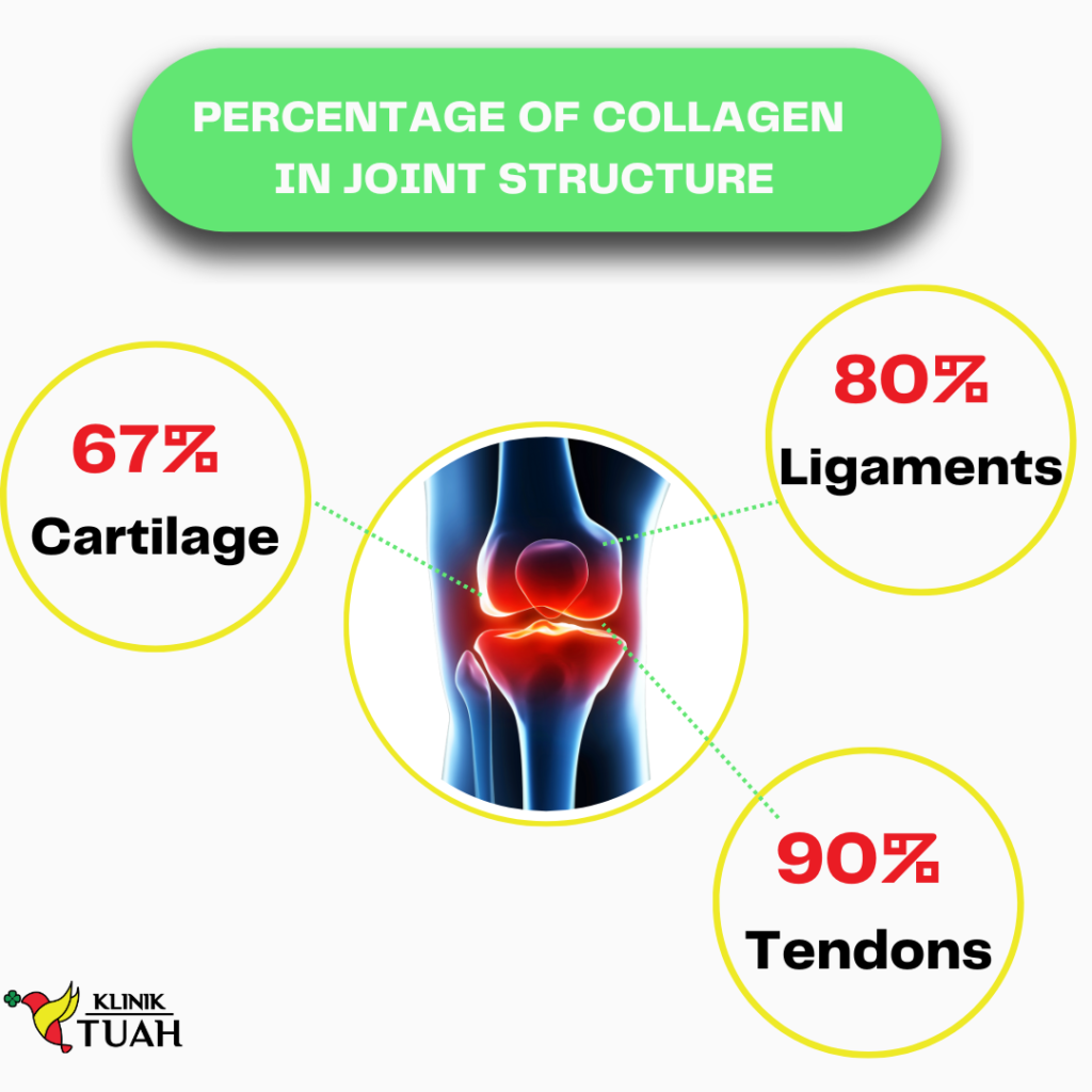 Percentage of collagen in joint structure Klinik Tuah