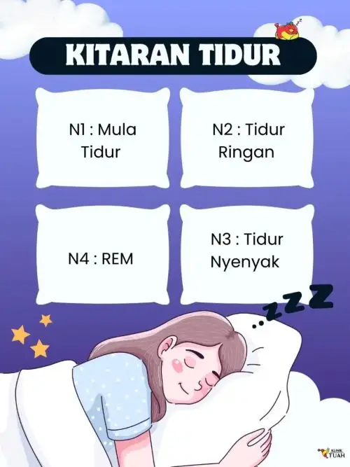 REM adalah salah satu kitaran tidur yang cukup