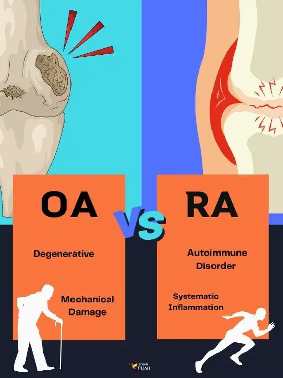 Image shows differences between osteoarthritis and rheumatoid arthritis which are knee pain causes
