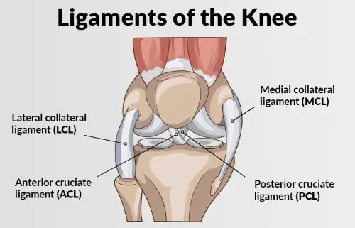 4 ligamen lutut yang boleh menyebabkan sakit lutut sekiranya tercedera
