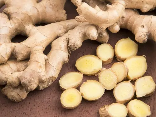 halia antara makanan untuk sakit lutut