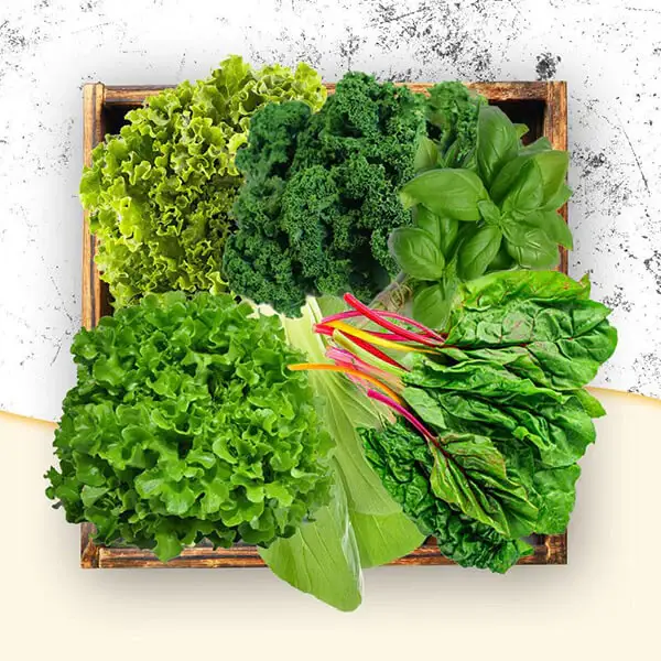 sayuran berdaun hijau antara makanan untuk sakit lutut